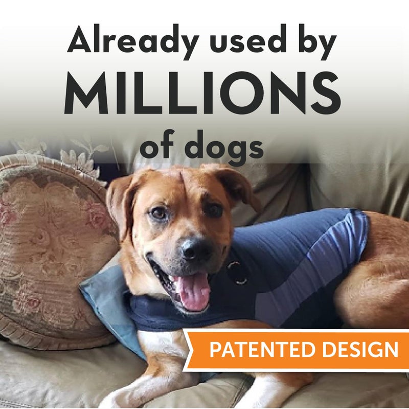 ThunderShirt for Dogs, Small, Blue Polo - Dog Anxiety Relief Calming Vest - Image 2